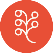 Territory Foods logo